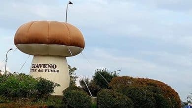 Fungo in Festa di Giaveno