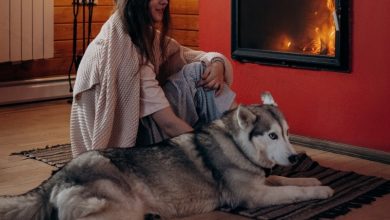 torino accensione riscaldamento