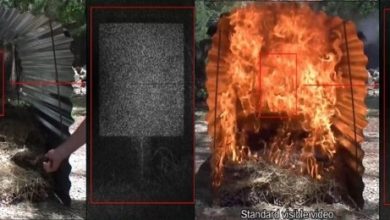 dispositivo olografico