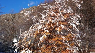 giardino botanico di Oropa