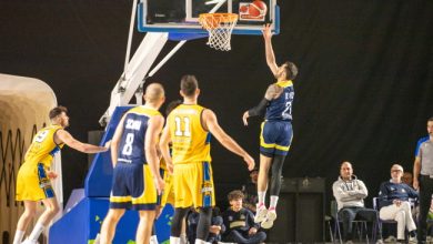 Vigevano reale mutua