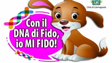 DNA canino sanzioni