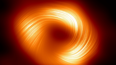 EHT prima immagine polarizzata di Sagittarius A