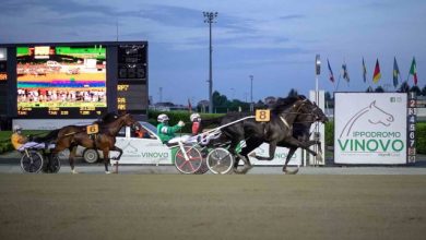 Ippodromo di Vinovo sette corse
