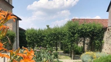 Giardino dei semplici di cherasco