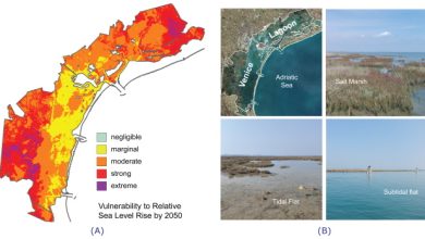 La laguna di Venezia principali morfologie