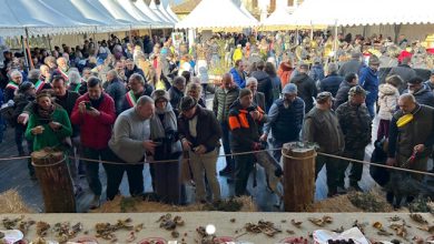 la Fiera Nazionale del Tartufo di Murisengo