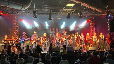 Summer Forest Festival