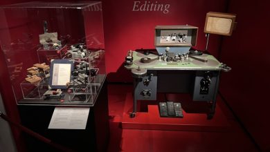 moviola Catozzo Estate 2025 al Museo del Cinema