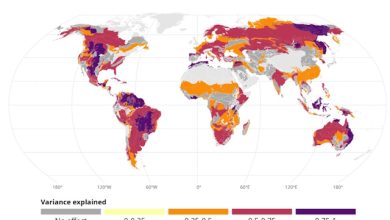 Come le variazioni climatiche influenzano gli incendi