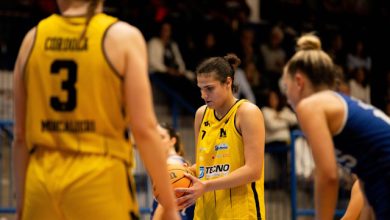 Tecnoengineering Moncalieri Basket Foxes Giussano