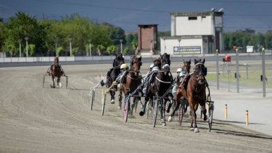 Ippodromo Vinovo Campionato Piemontese Gentleman