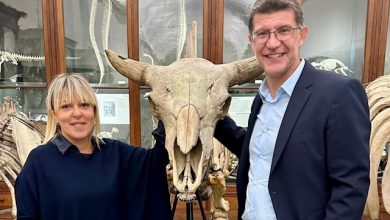 Chiarelli Fino Museo di Scienze