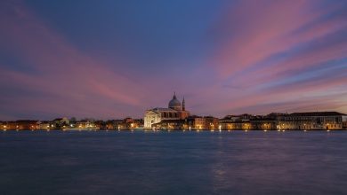 I Leoni di Venezia: omaggio Mostra del Cinema