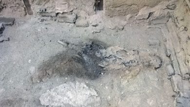 ercolano scheletro del guardiano nel suo letto