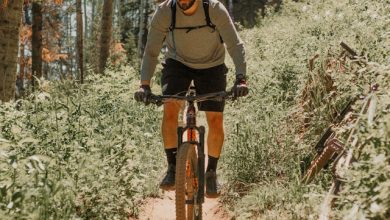 Bike Experience 2025