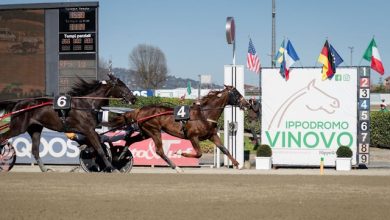 Vernissage Grif a Vinovo