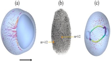 cristalli liquidi attivi