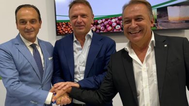 Cirio Lollobrigida Bongioanni Giandujotto di Torino Igp