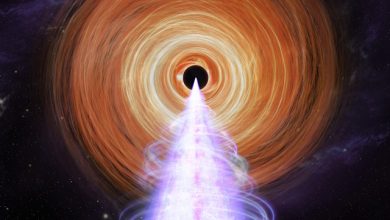 IXPE Blazar BL Lacertae raggi X