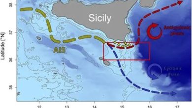 Mediterraneo area di ricerca cnr