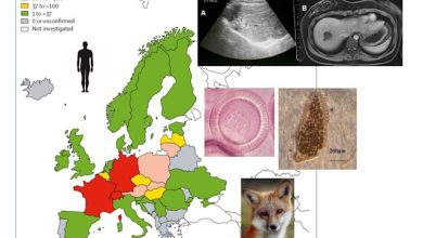 Echinococcosi alveolare