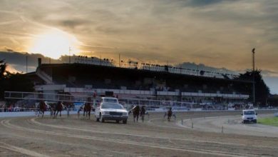 Vinovo Serali notturne