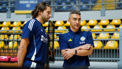 Basket Torino area performance e medica