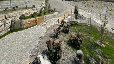 Le Aree Camper di Cesana Torinese