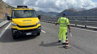 anas bollino nero estate