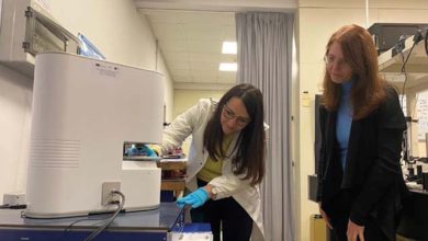 Mangini e Ferrara imaging ottico tridimensionale