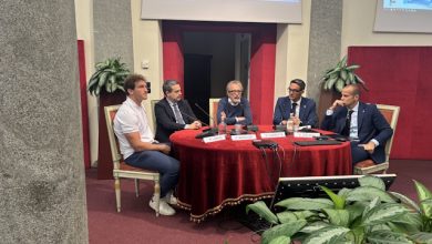 Italia sfida gli Springboks