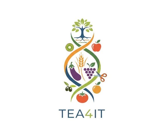 Logo TEA4IT