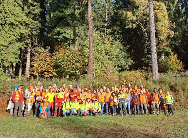 Settimana europea per la sicurezza sul lavoro forestale