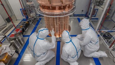 esperimento CUORE neutrino di Majorana