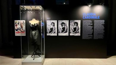 vestito claudia cardinale il magnifico cornuto