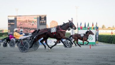 Palio dei Proprietari 2025