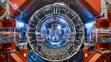 formazione nuclei leggeri esperimento ALICE