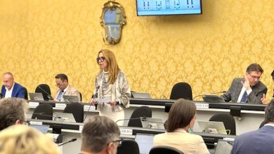 Bullismo e cyberbullismo Chiorino