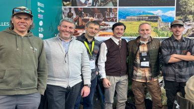 Fly Fishing Val Susa Rimini