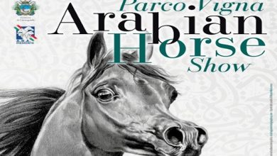 Arabian Horse Show 2026