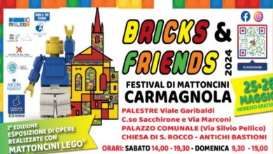 BRICKS & FRIENDS 2024