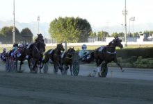 Vinovo domenica di trotto