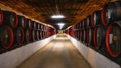 promozione del vino piemontese