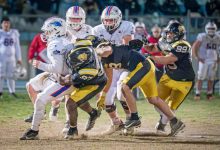 Giuliani Giaguari Torino Aquile Ferrara 29-14