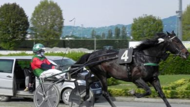 corse 30 aprile Ippodromo di Vinovo