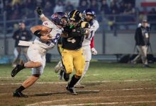 Colangelo Giaguari Guelfi