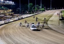Ippodromo di Vinovo Breeders Course