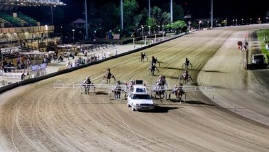 Ippodromo di Vinovo Breeders Course