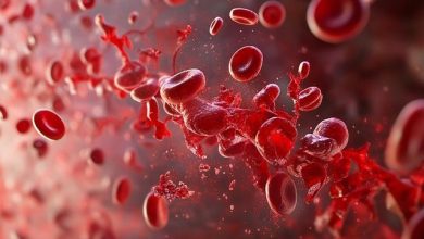 Sangue-cordonale-Ospedale Infantile Regina Margherita